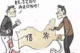 南宁为什么选择专业追讨公司来处理您的债务纠纷？